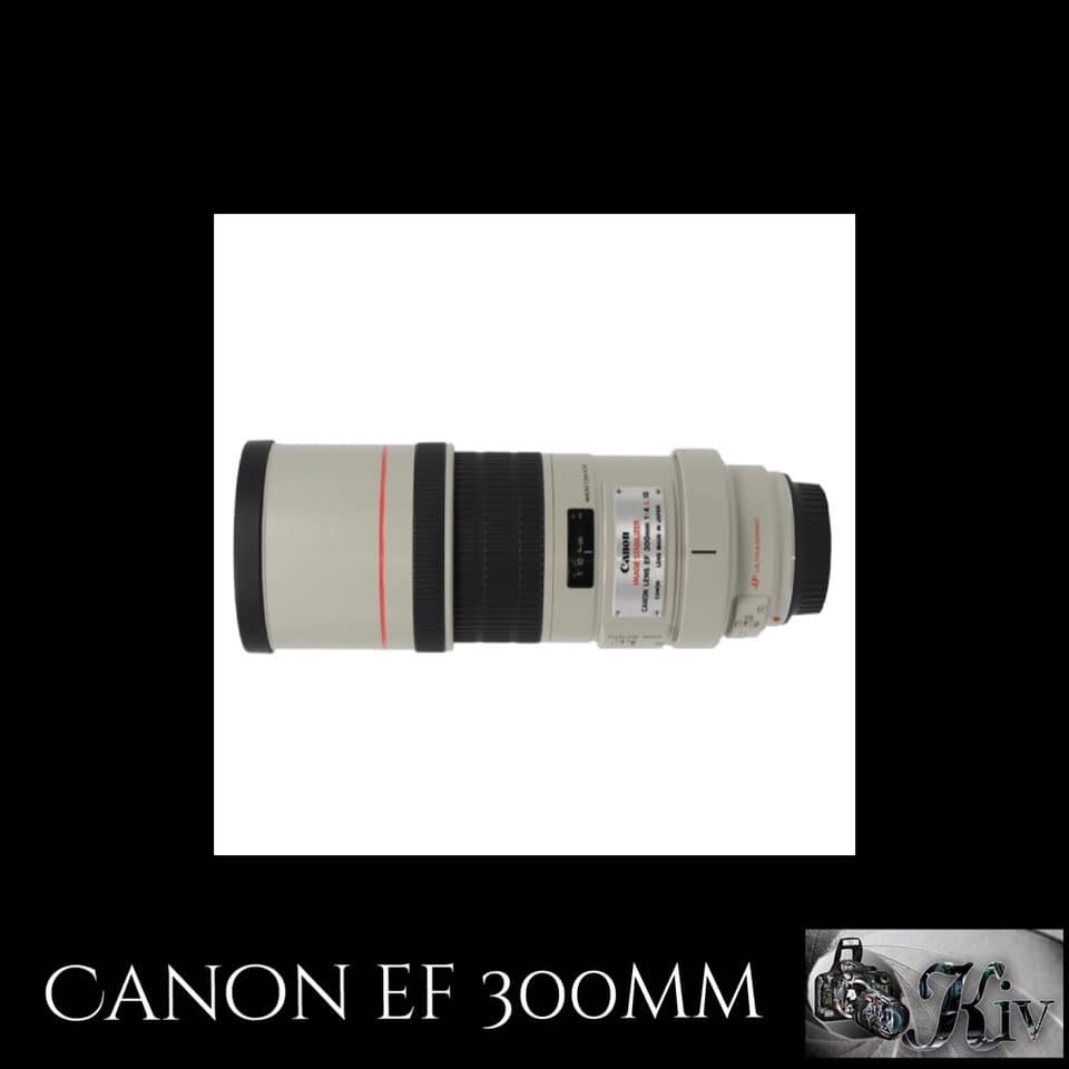 Canon EF 300mm F-4