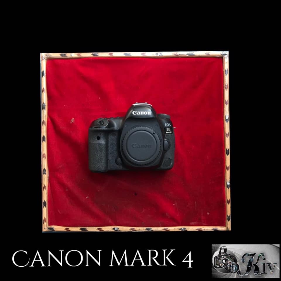 Canon Mark4 for ERR-20.