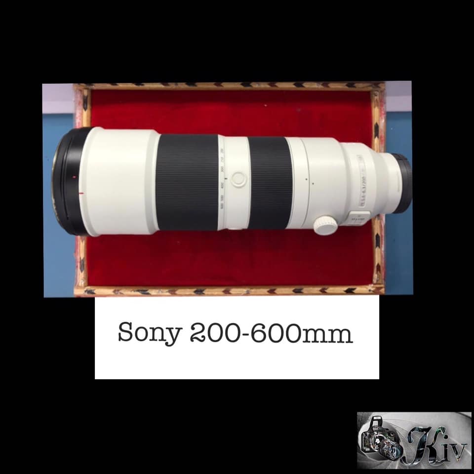 Sony 200-600mm Telephoto Lens